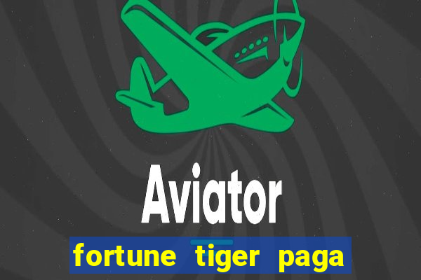 fortune tiger paga de madrugada